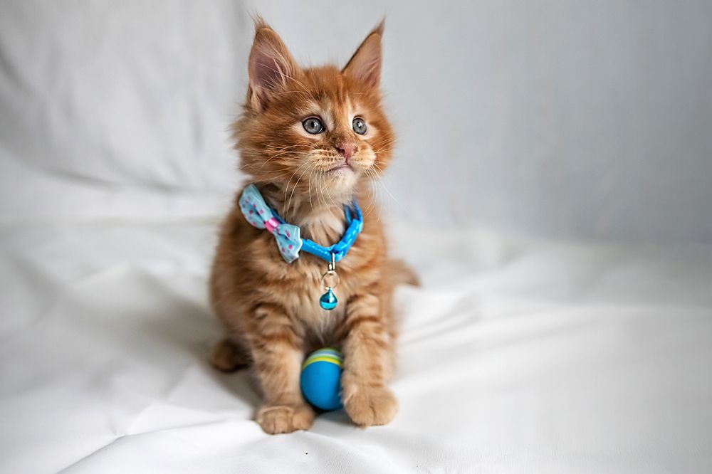 Photograph by Наталья Кузьмина