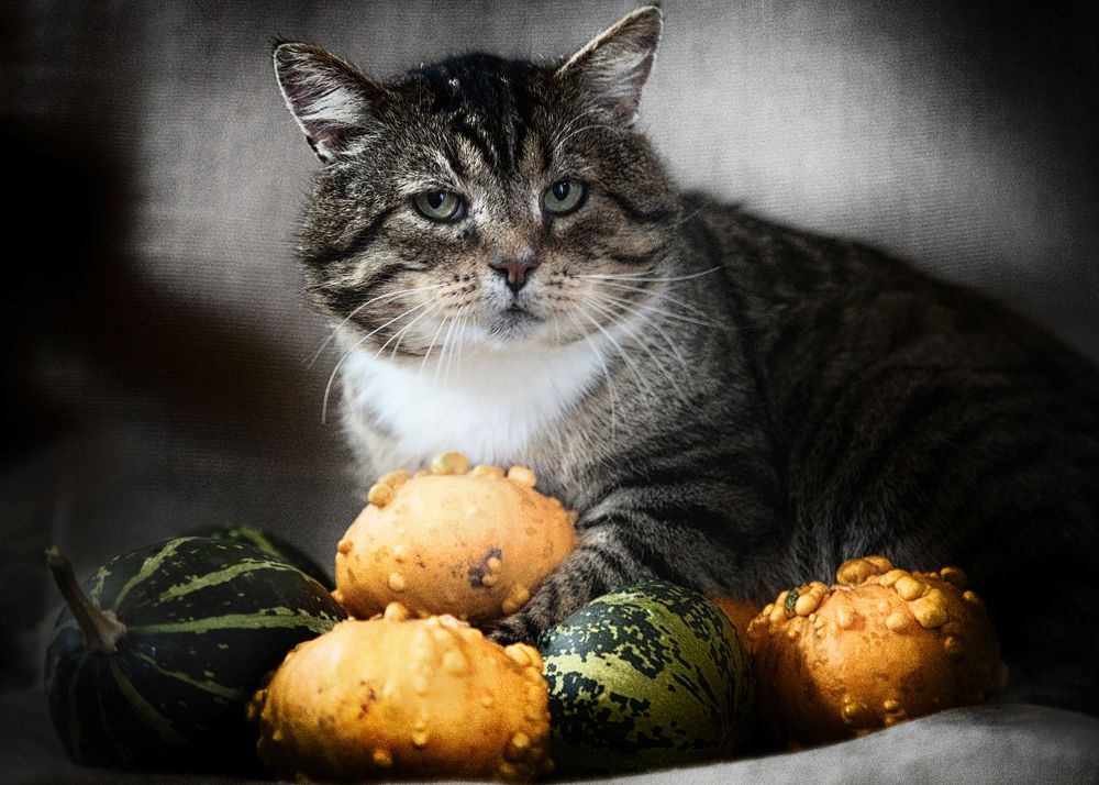 Photograph by Наталья Суслова