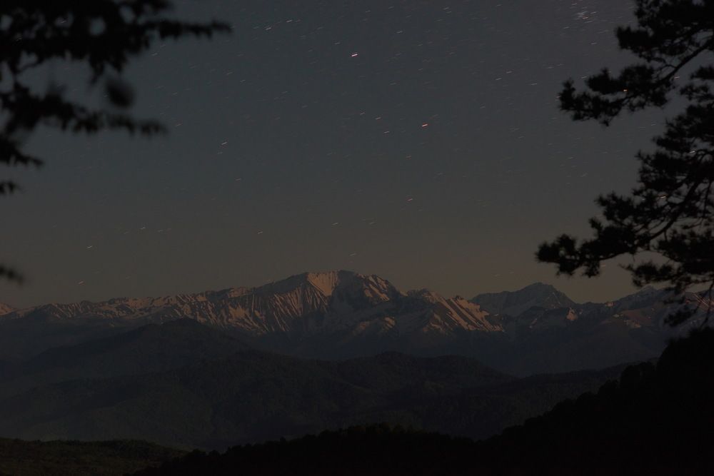Фотография автора Медведев Сергей