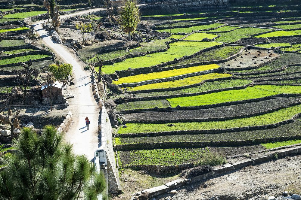 Photograph by SUPRATIK Banik