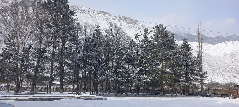 Фотография автора Фатима Джамбаева