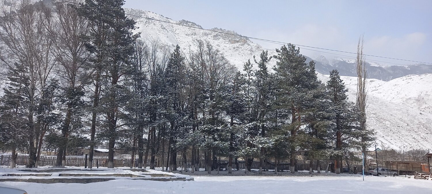 Photo #8903497