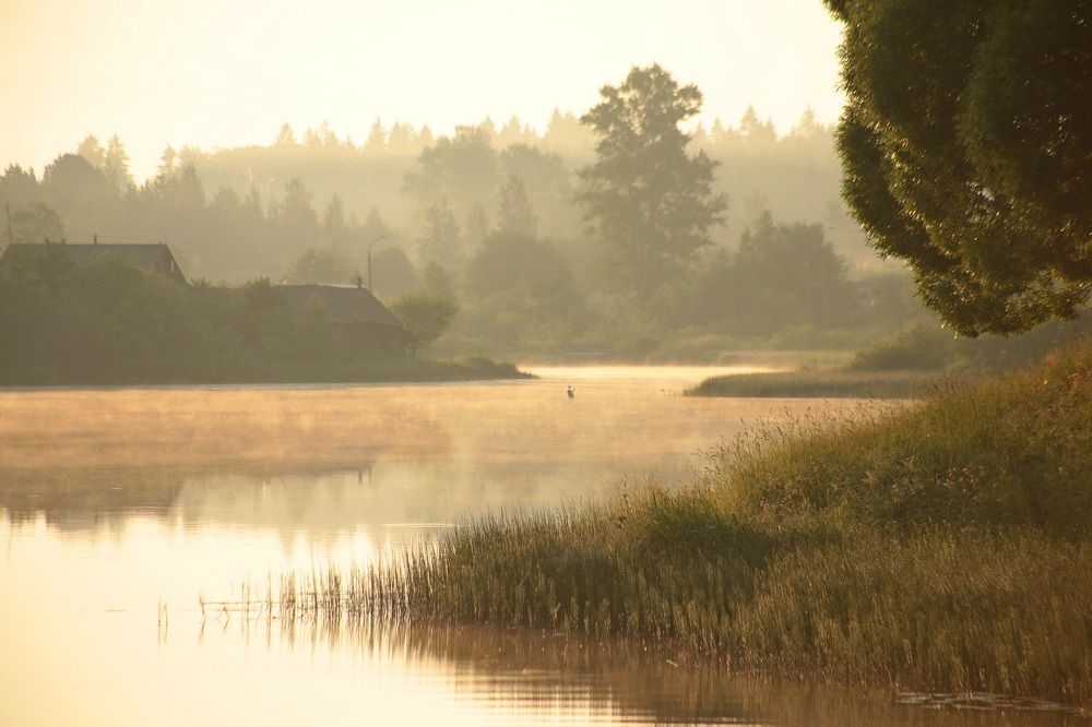Фотография автора Александр Кожевников