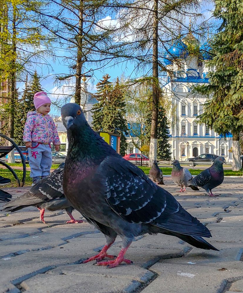 Photograph by Елена Алексеева