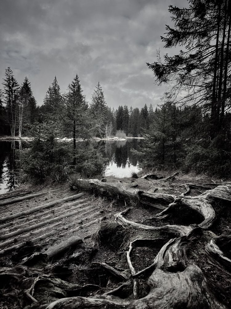 Photograph by Малика Маткарим