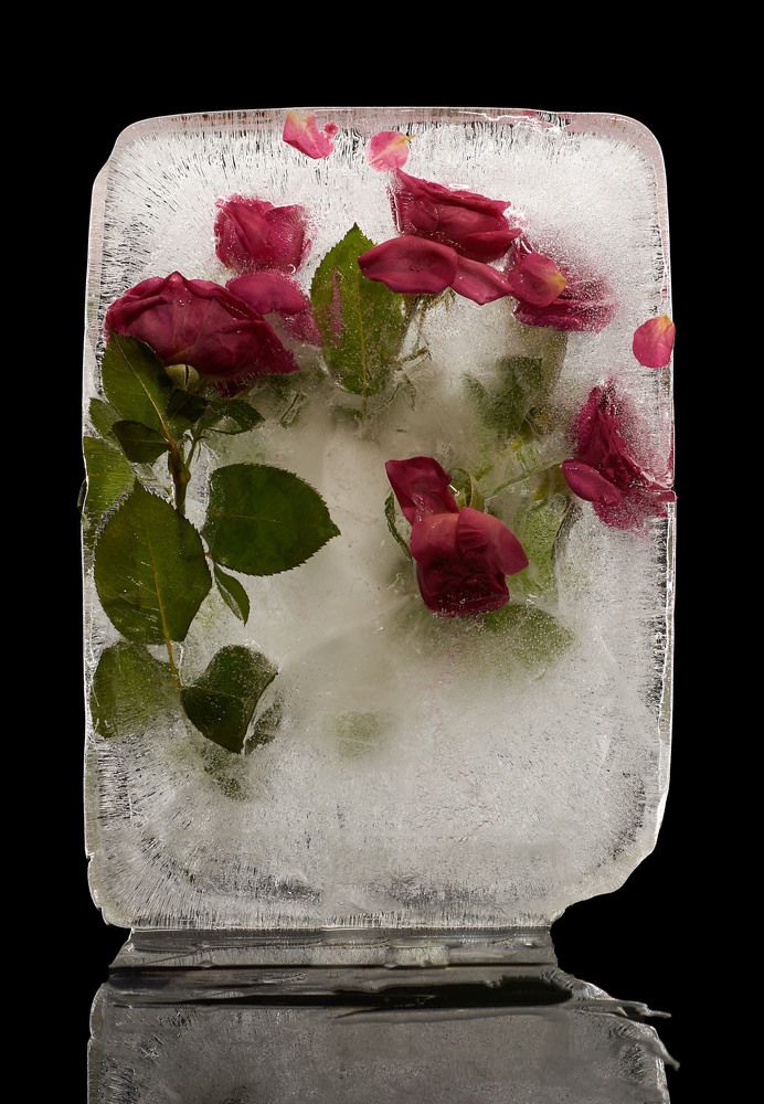 Замороженная красота