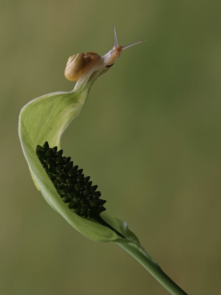 Photograph by Малика Маткарим