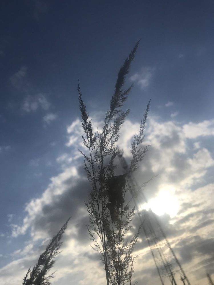 Photograph by Саровская Ника