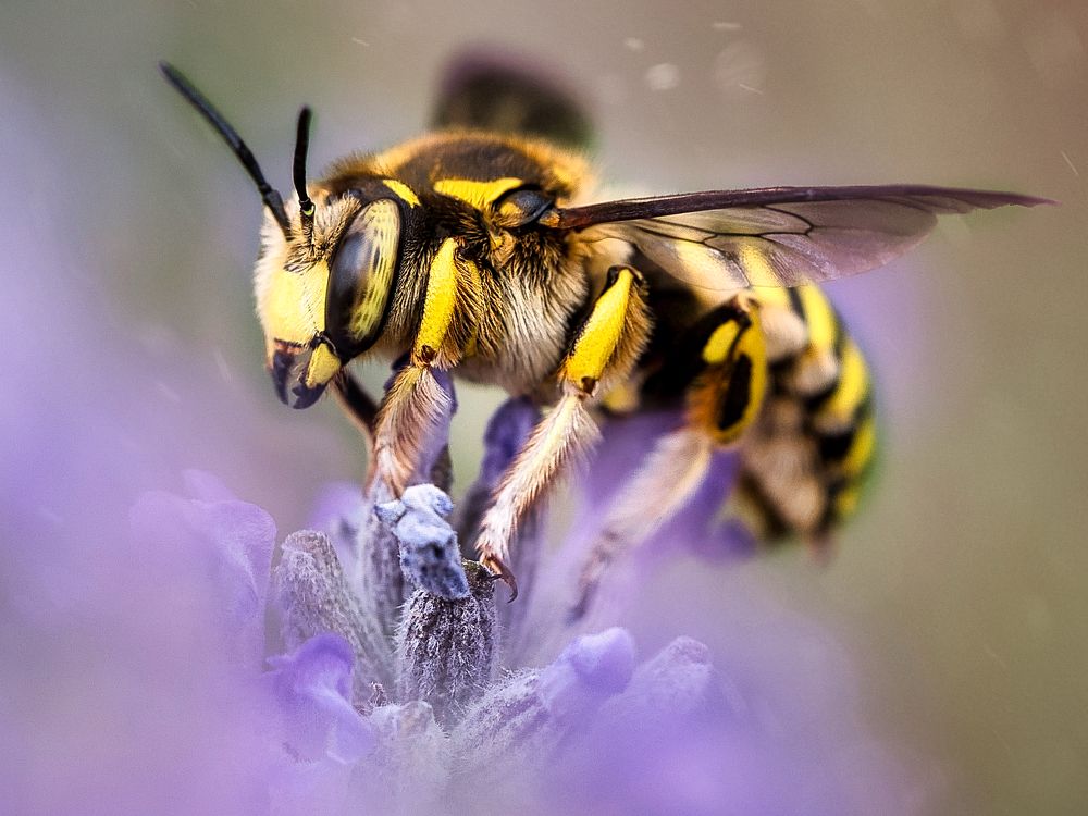 Photograph by Lorga Nuno