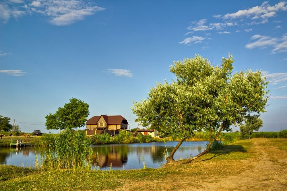 Фотография автора Голубцов