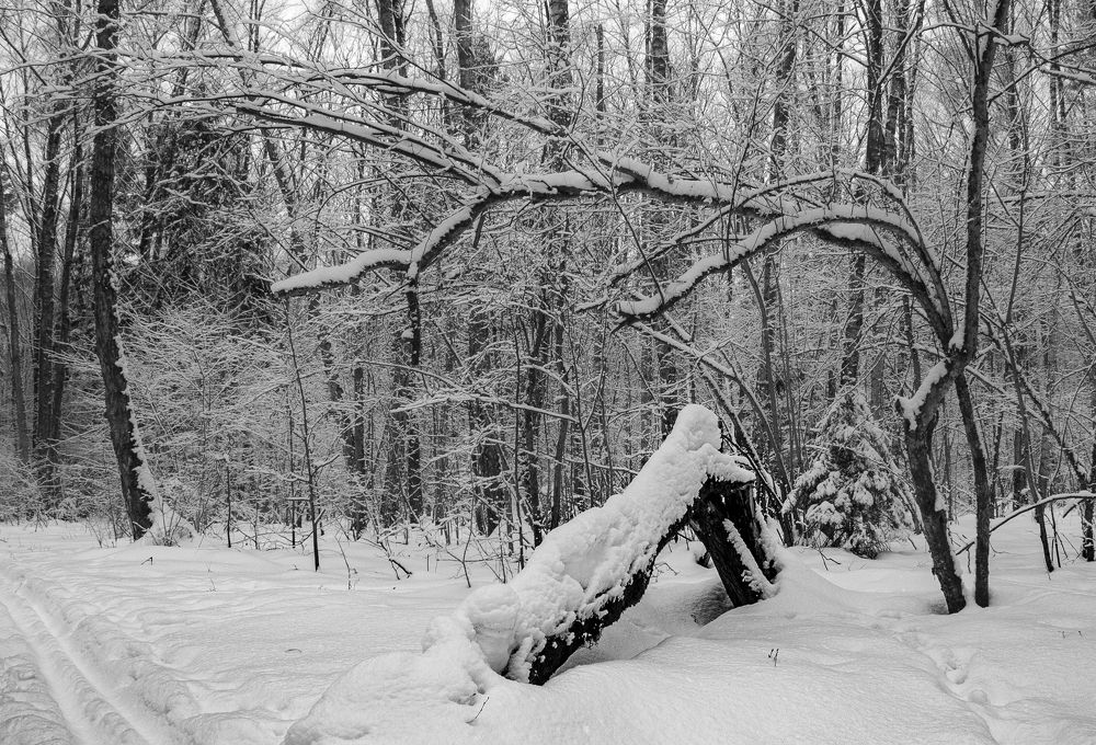 Фотография автора Сусанна Галоян