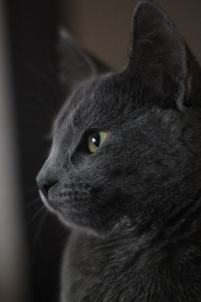 Photograph by Оксана Михайлова