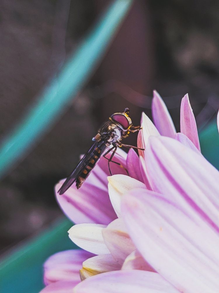 Фотография автора Наталья Синицына