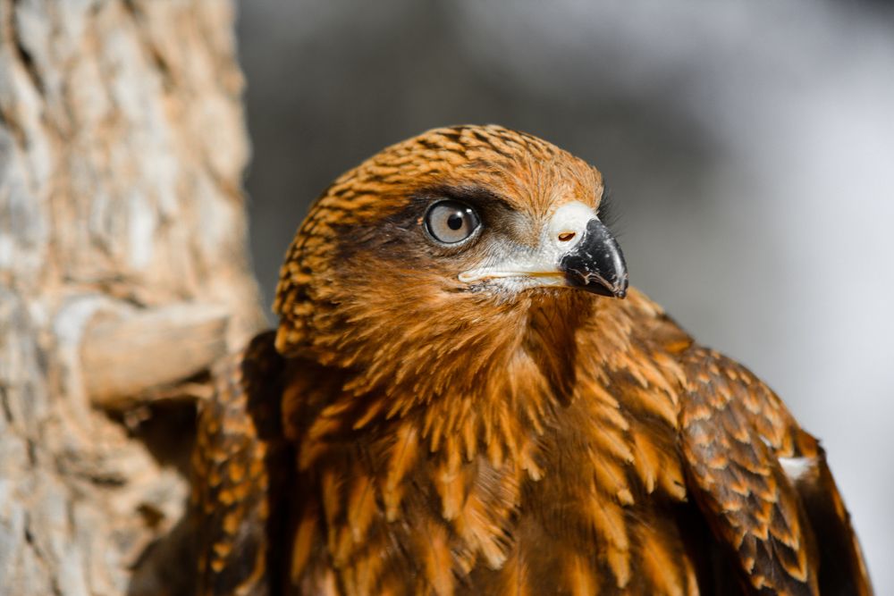 Photograph by Bachir Rabouh