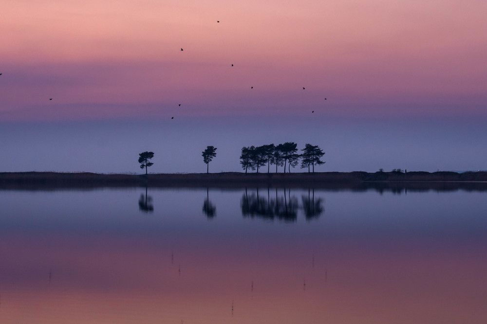 Photograph by Наталья Брюхненко