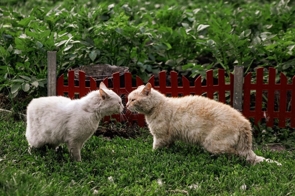 Photograph by Анна Зенкина