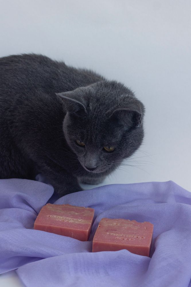 Photograph by Оксана Михайлова