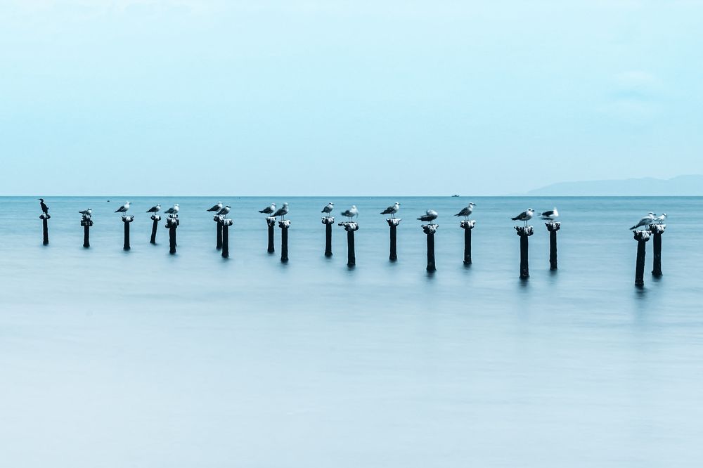 Photograph by Krabaa Mohamed Anis