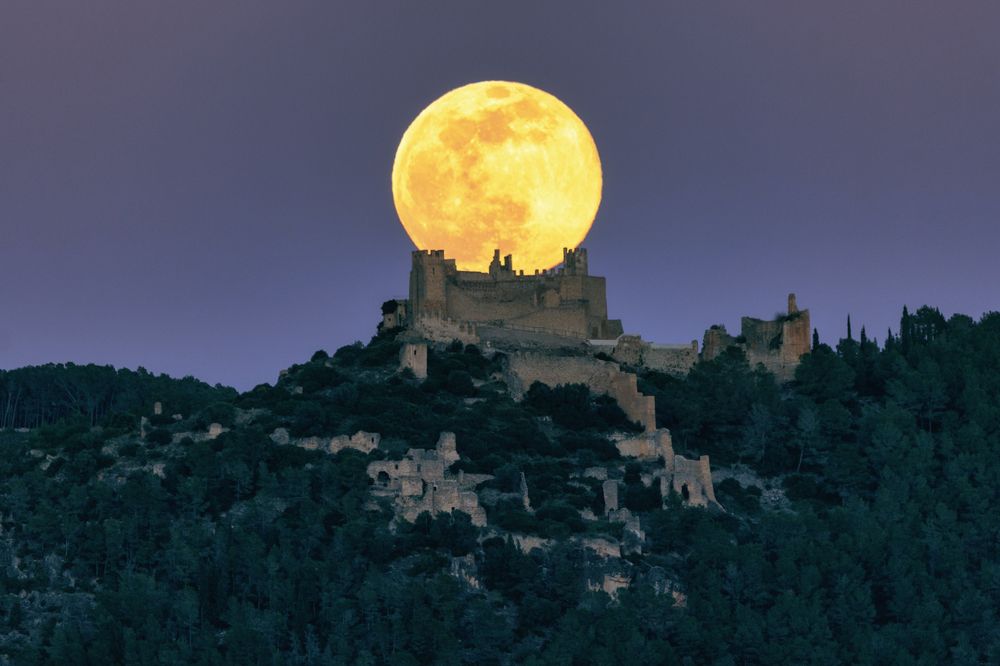 Photograph by Miquel Àngel Ferreres