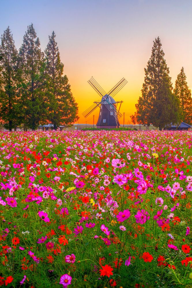 Photograph by Phùng Minh Long