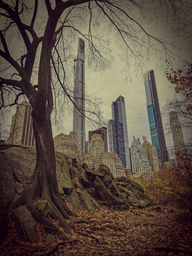 Photograph by Екатериина