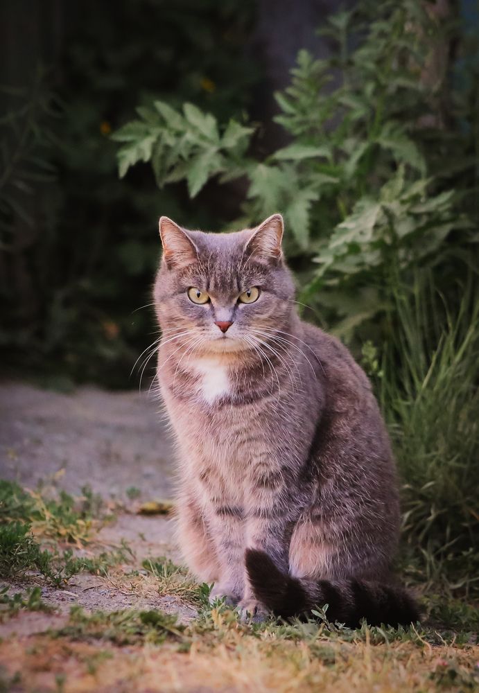 Photograph by Анна Зенкина