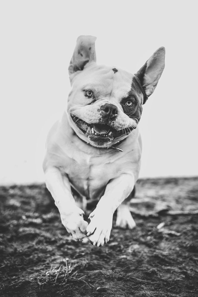 Photograph by Alma González