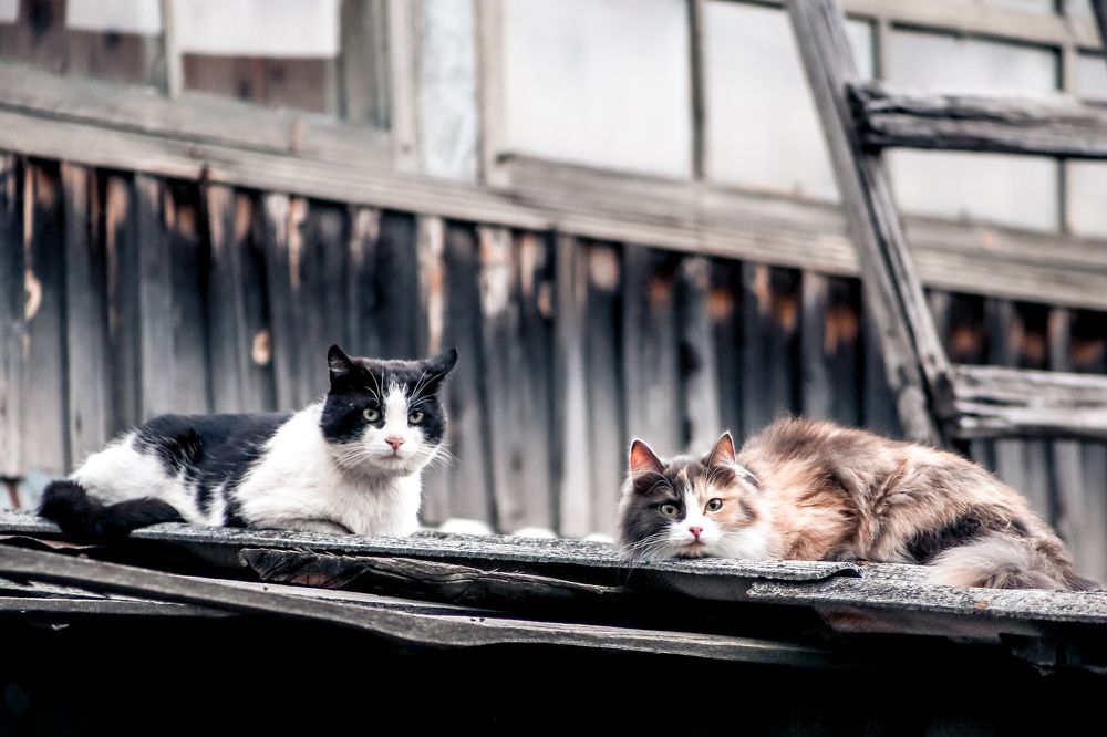 Photograph by Анна Зенкина