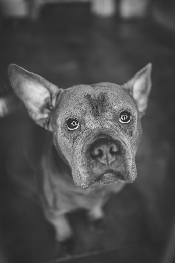 Photograph by Alma González