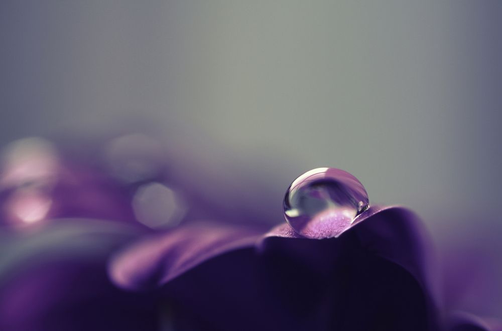 Photograph by Nathalie Verbeken