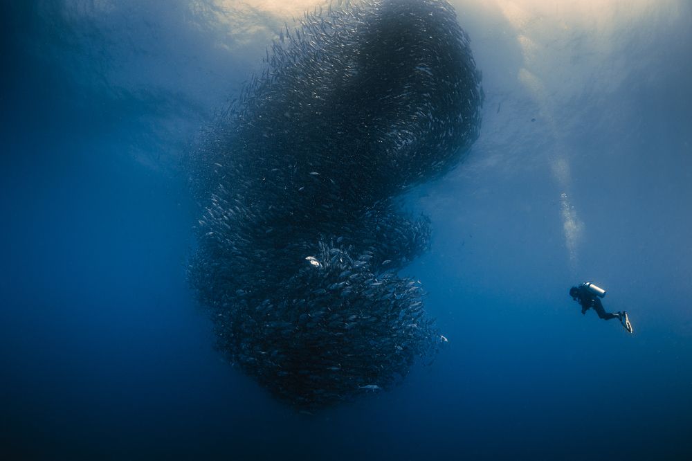 Photograph by Jose Luis Gonzalez Guerra