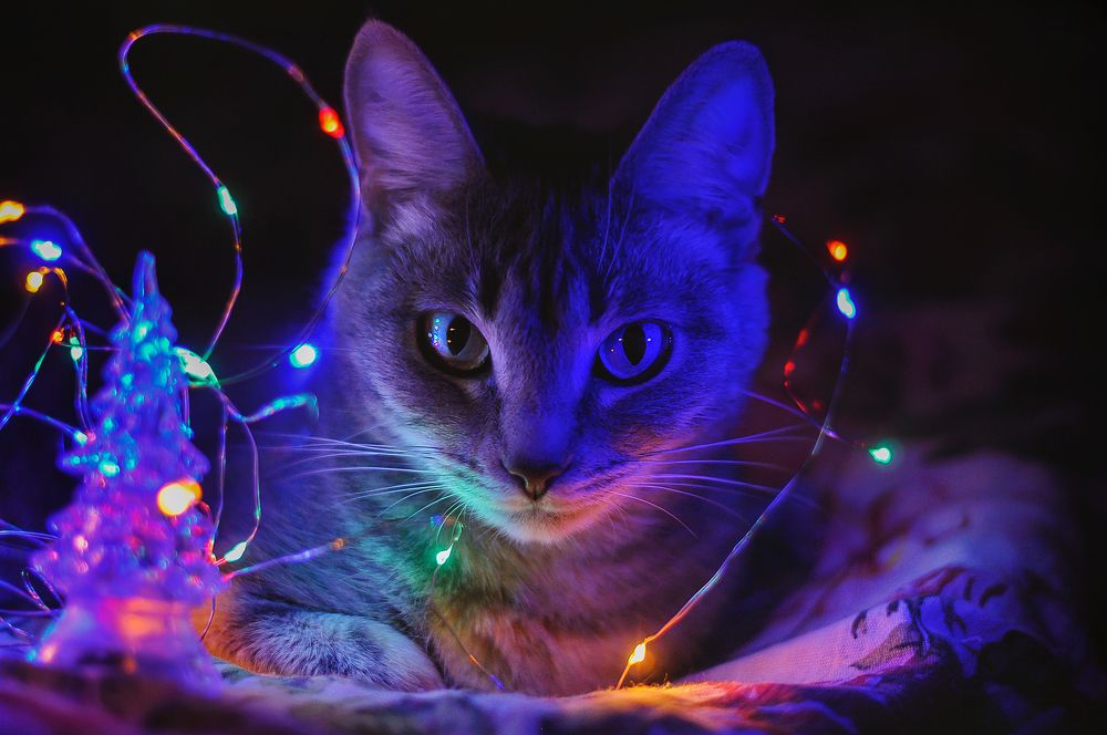 Photograph by  Kerry Moore