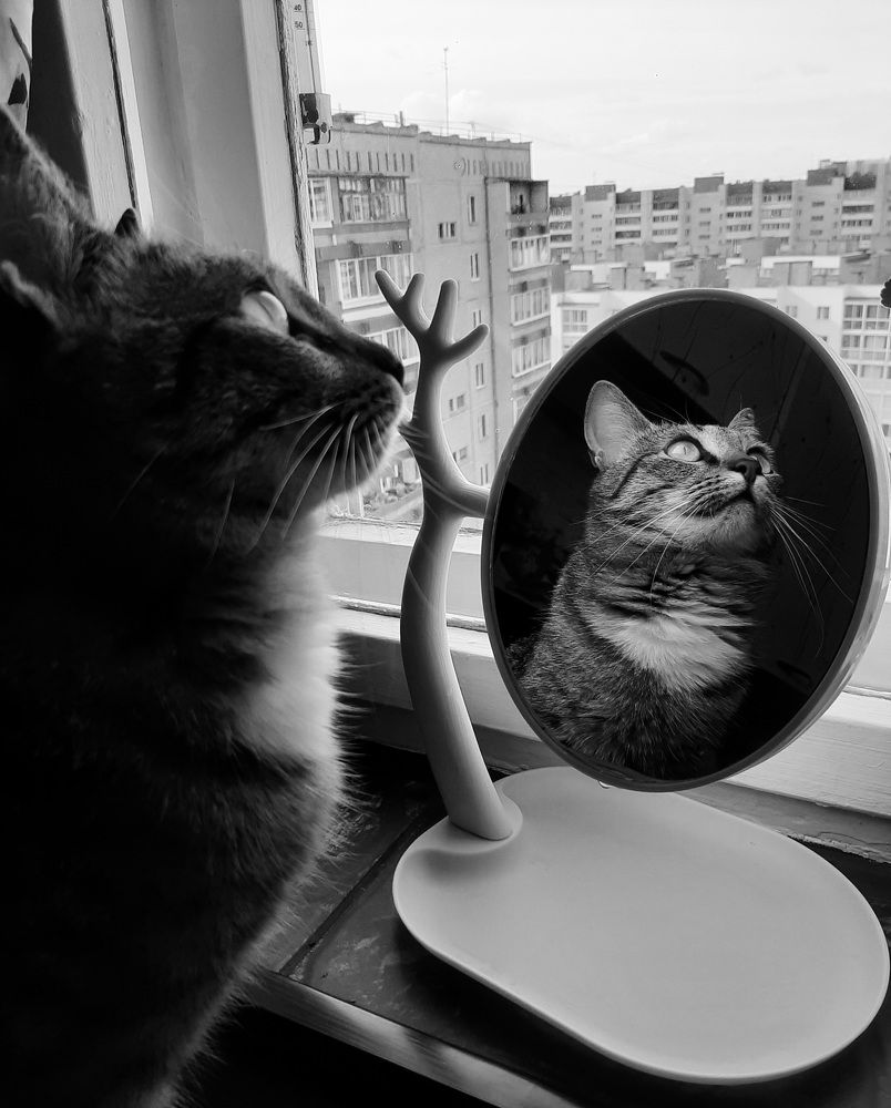 Photograph by Анна Зенкина