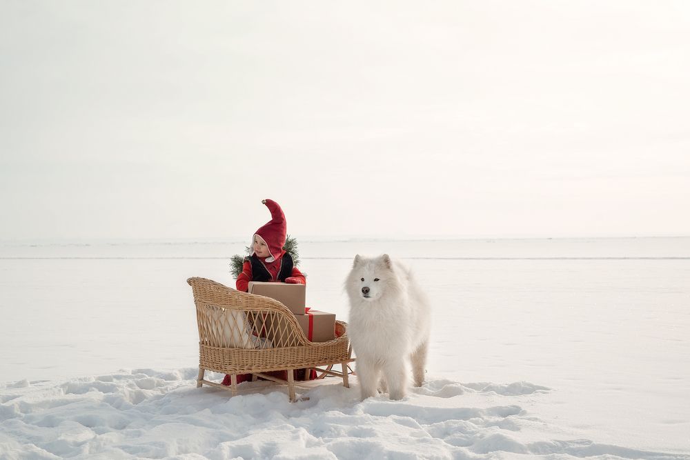 Photograph by Екатерина Пугач