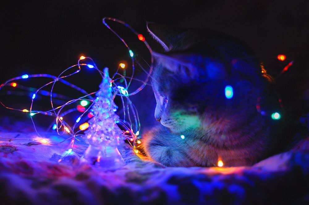 Photograph by  Kerry Moore