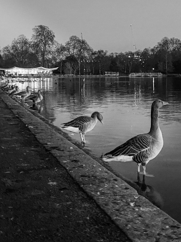 Another view of London