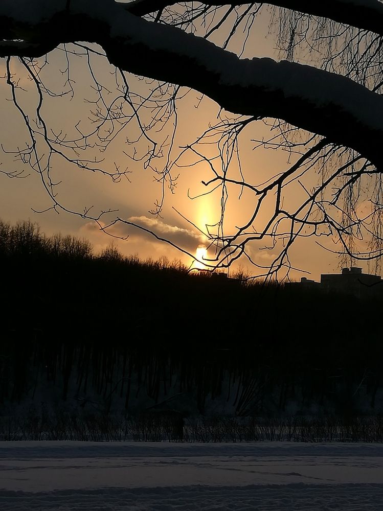 Photograph by Фролова Светлана