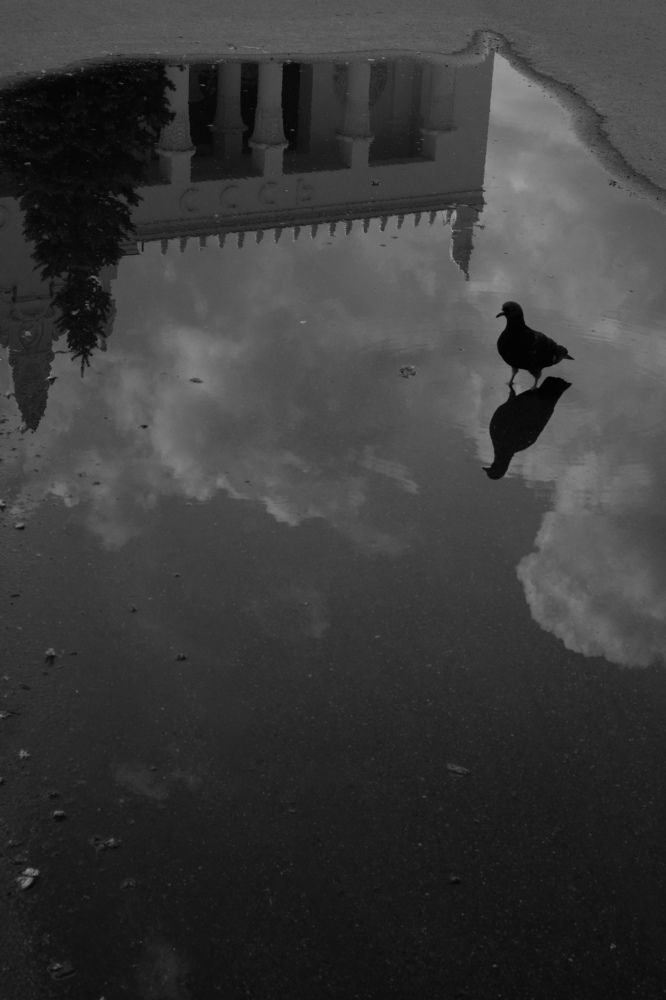 Photograph by Нафисет Хуажева