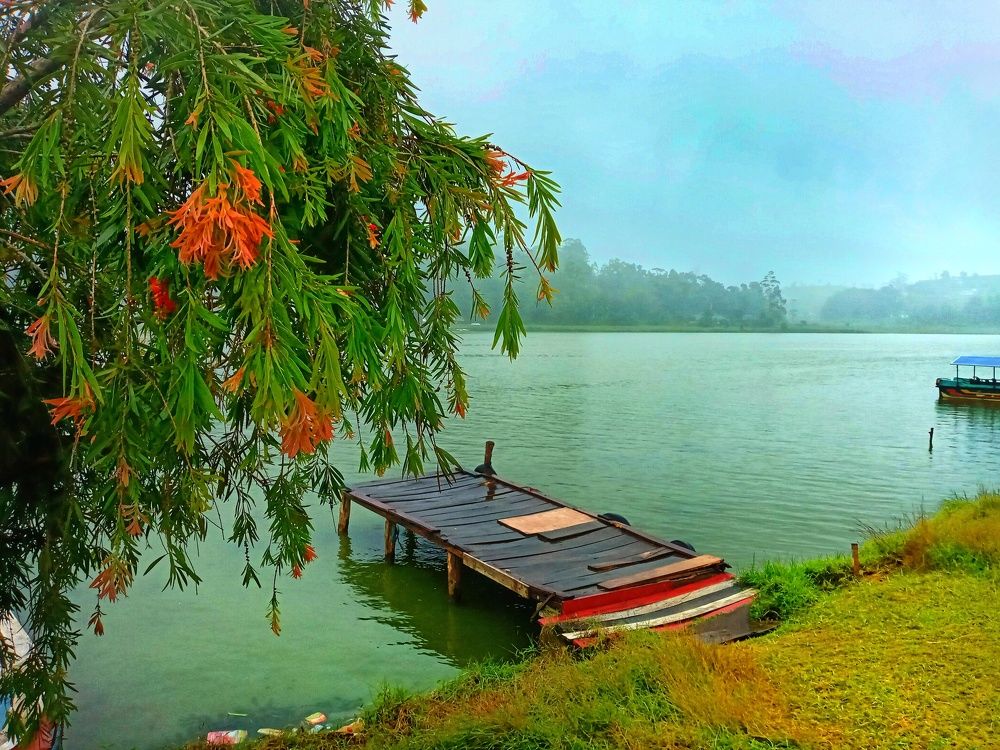 Photograph by kalaichelvam suganya