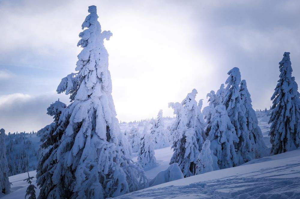 Photograph by Denisa Miazdrová