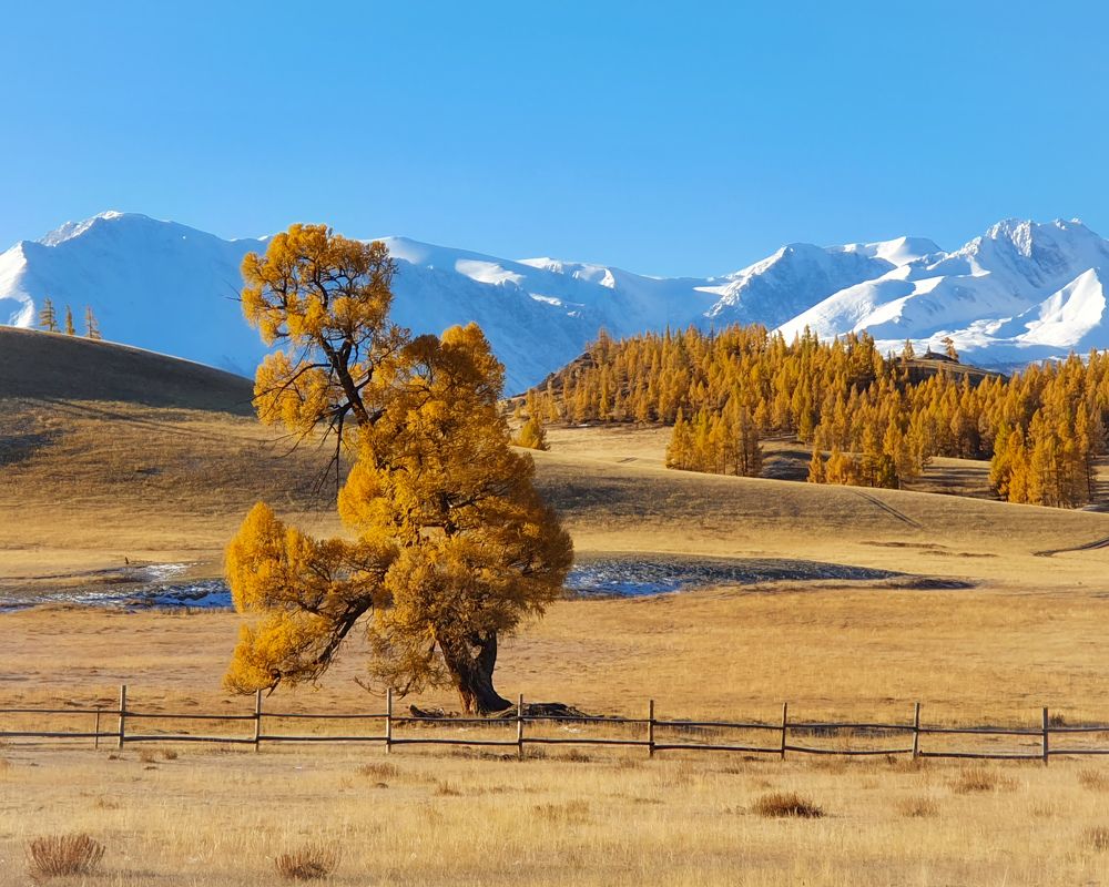 Photograph by Nina Gintings