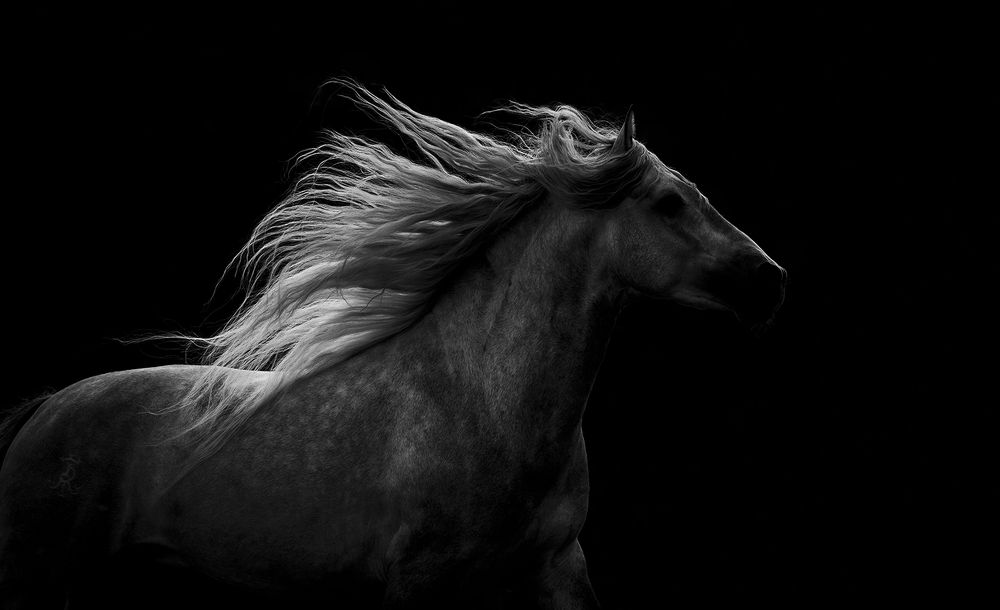 dark before the light