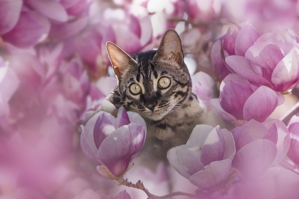 Photograph by Denisa Miazdrová