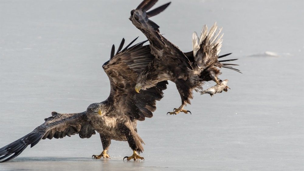 Photograph by константин