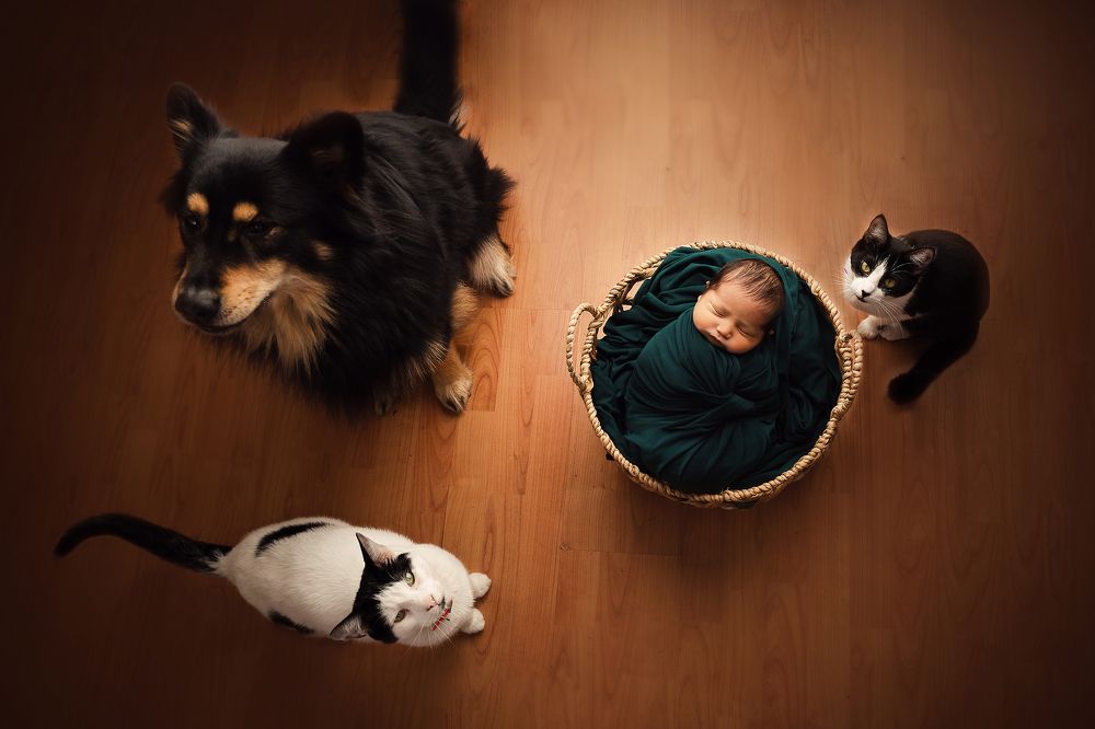 Фотография автора Ivana Zabala