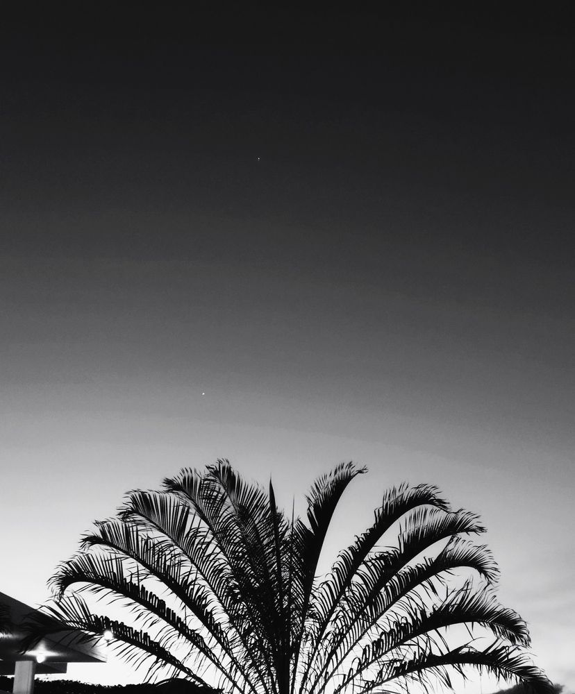 Photograph by Omar Vásquez