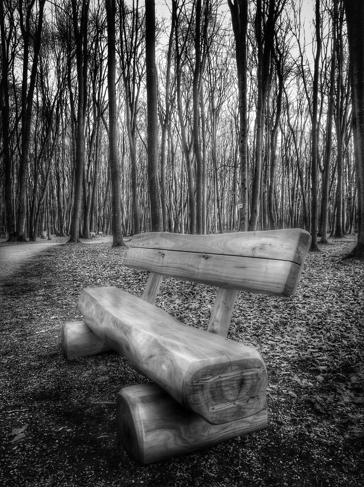 Photograph by Mariana Ștefania Odințoi