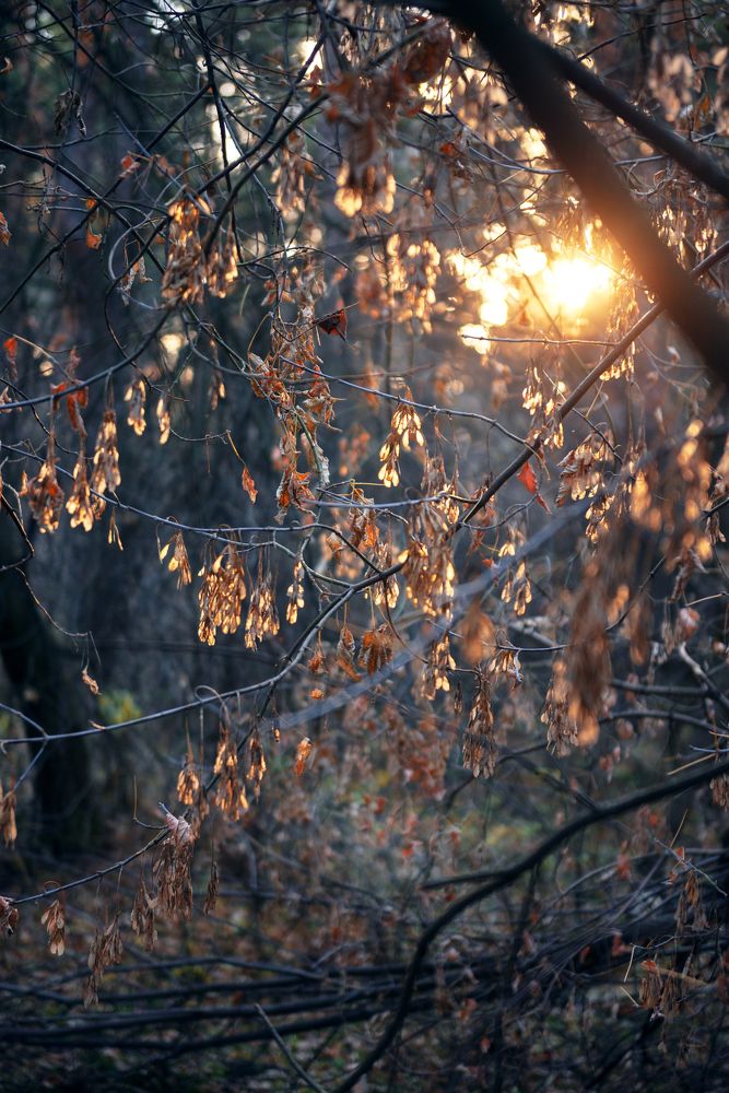 Photograph by Денис Илюхин