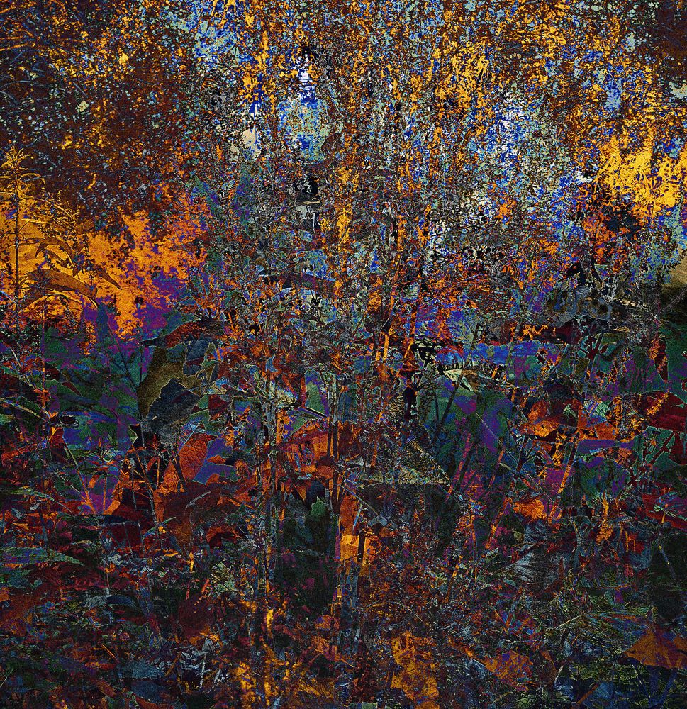 Photograph by Виталий Крестинин