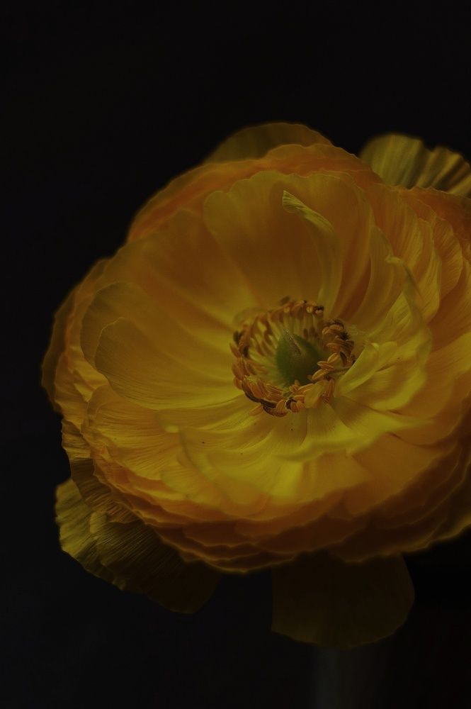 Photograph by Наталья Шленкина